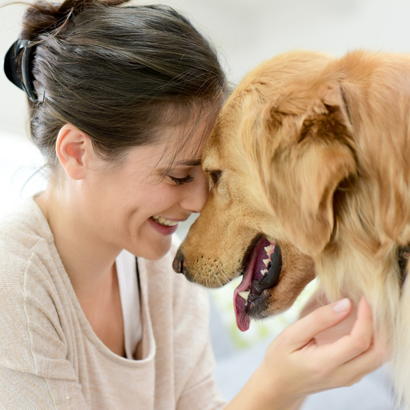 Mareike Domin – Praxis für Psychotherapie – Tiergestützte Therapie